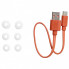 Наушники JBL Wave Beam TWS White (JBLWBEAMWHT) (343578)