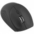 Мышка Esperanza Andromeda Bluetooth Black (EM123K) (177198)