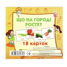 Развивающие карточки для детей Что растет на огороде J018y, 18 картинок Развивающие карточки для детей Что растет на огороде J018y, 18 картинок
