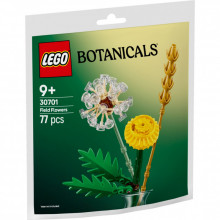 Конструктор LEGO Botanicals Полевые цветы (30701) (250109)
