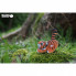 Пазл Eugy 3D Зоопарк Тигр (XEG-012) (267549)
