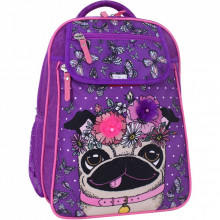Рюкзак школьный Bagland Отличник 20 л. фиолетовый 890 (0058070) (418214848) (274459)
