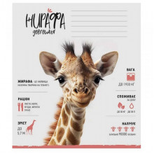 Тетрадь ученическая "Africa Animals" 012-3279K-3 в клетку, 12 листов