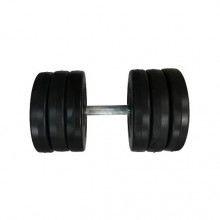 Гантель наборная композитная в пластиковой оболочке Rock Pro-R 16,5 кг NE-PL-R-016